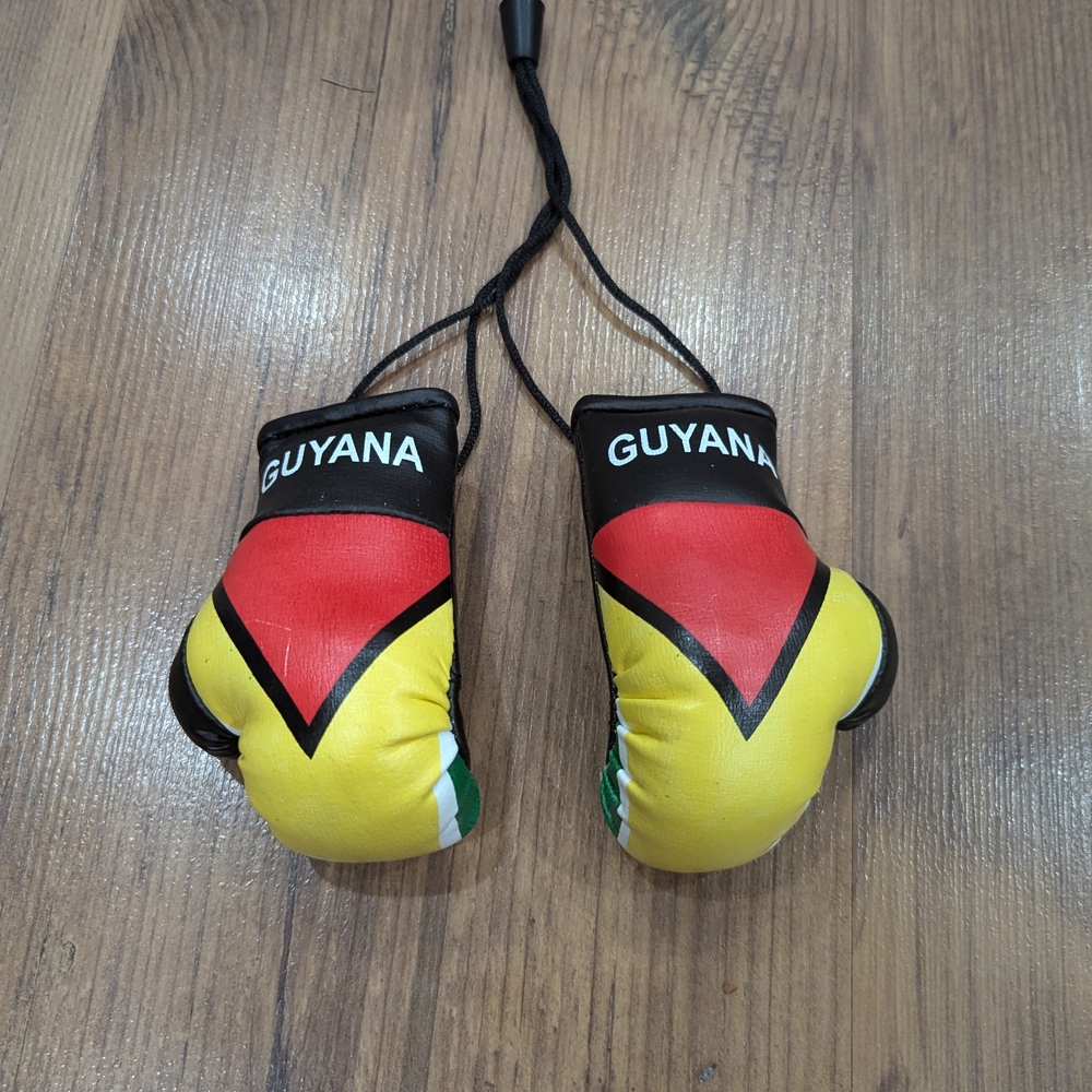 New Car Mirror Hanging Guyana Flag Mini Boxing Gloves